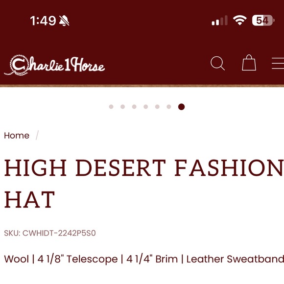 Charlie 1 Horse High Desert Fashion Hat - Picture 8 of 11